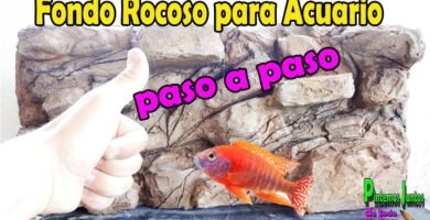 Accesorios decorativos para terrarios de temática desértica