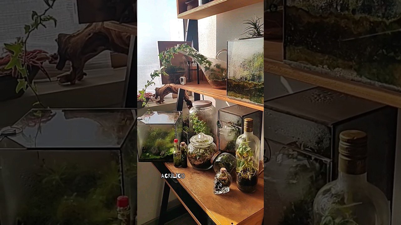 Accesorios para enriquecer el ambiente de un terrario