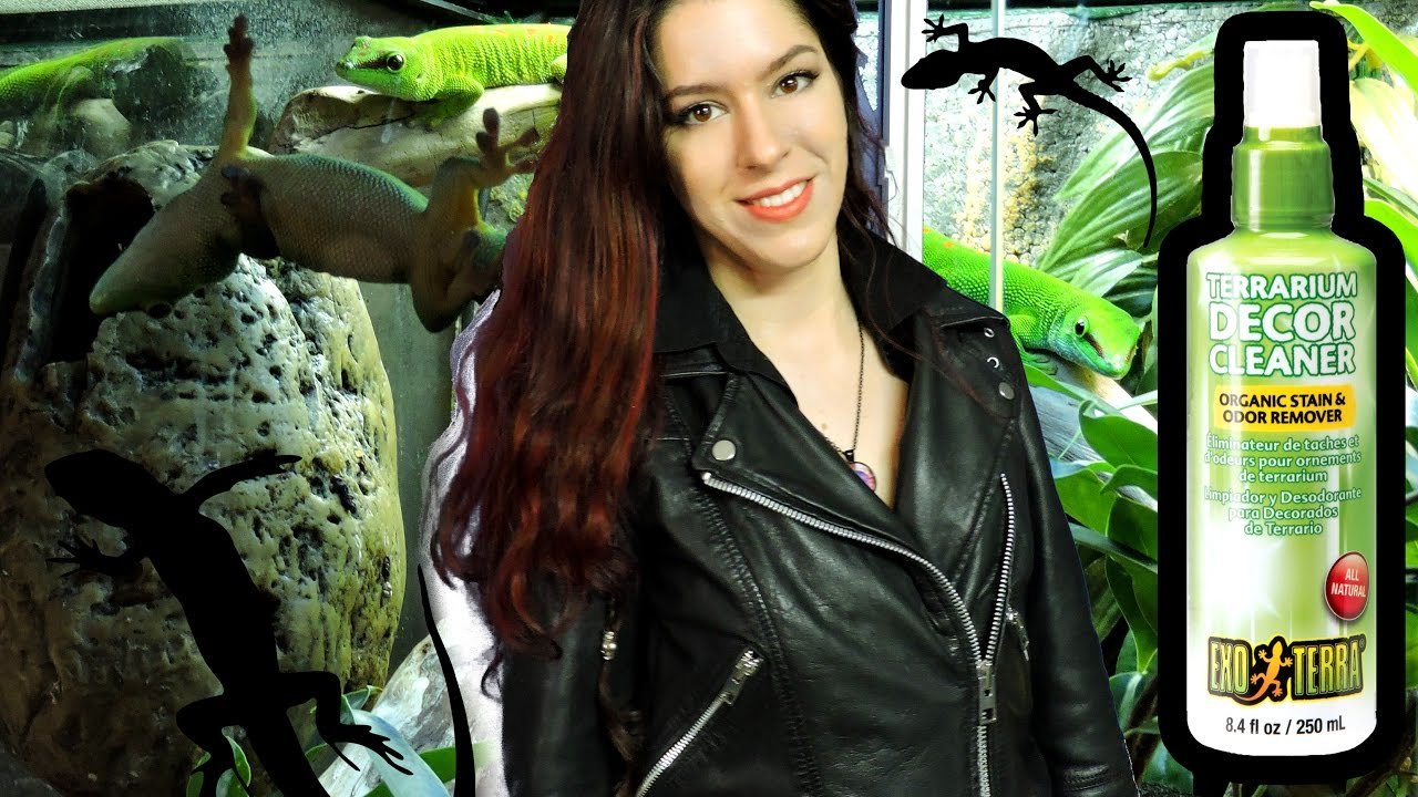 Accesorios para facilitar la limpieza de terrarios