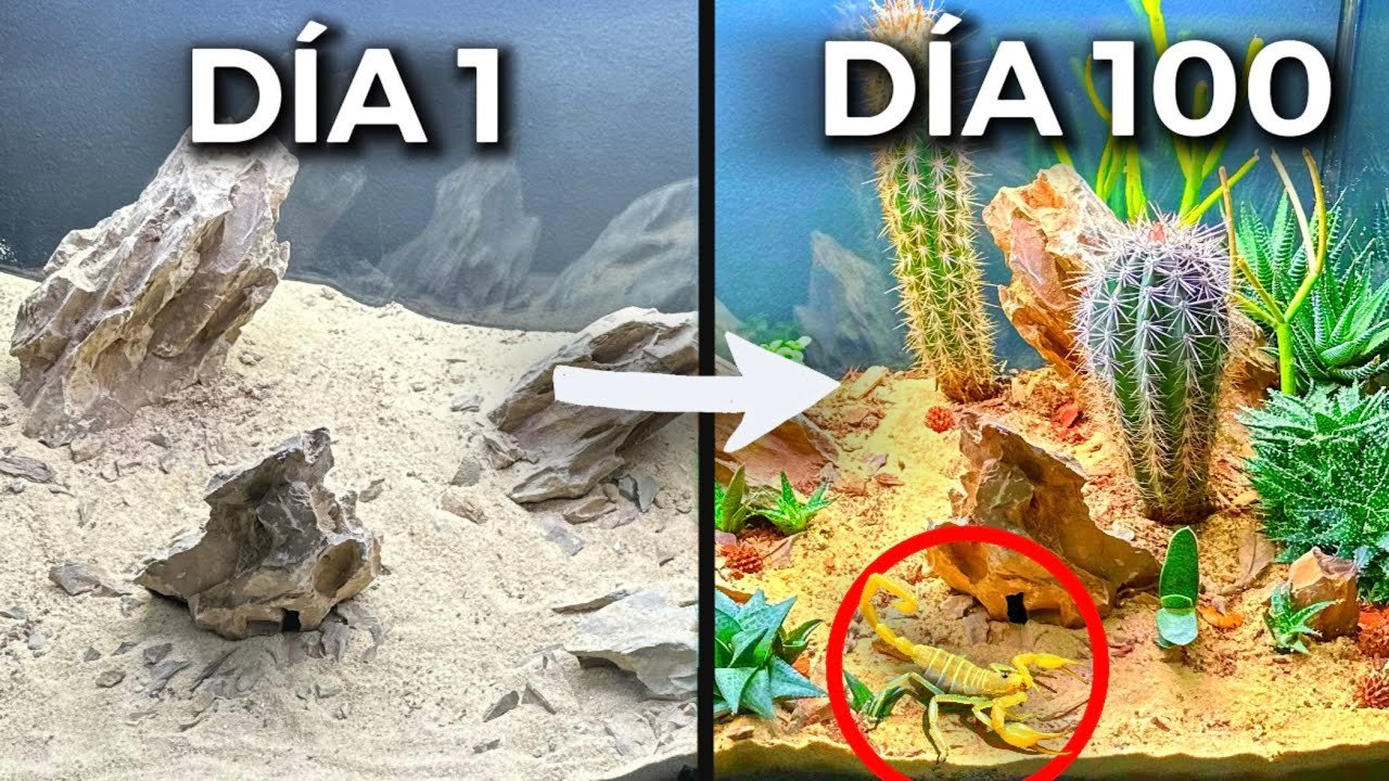 Alimentación de reptiles en terrarios de clima árido