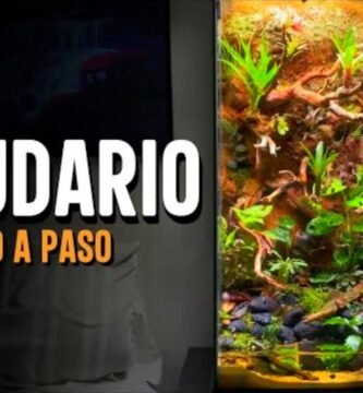 Cómo construir un terrario con cascada para reptiles