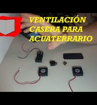 Cómo construir un terrario con ventilación adecuada