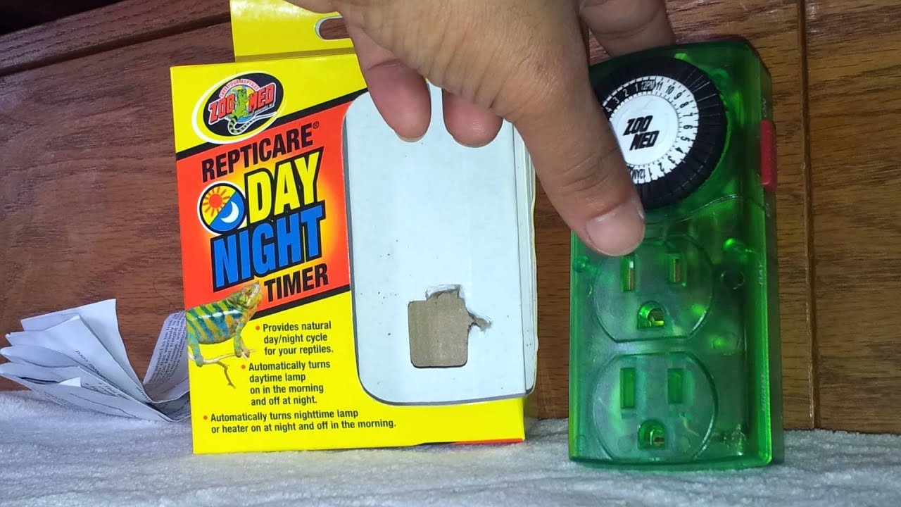 Cómo elegir el mejor temporizador para la iluminación del terrario