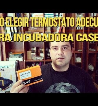 Cómo elegir el mejor termostato para terrarios