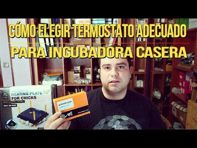 Cómo elegir el mejor termostato para terrarios