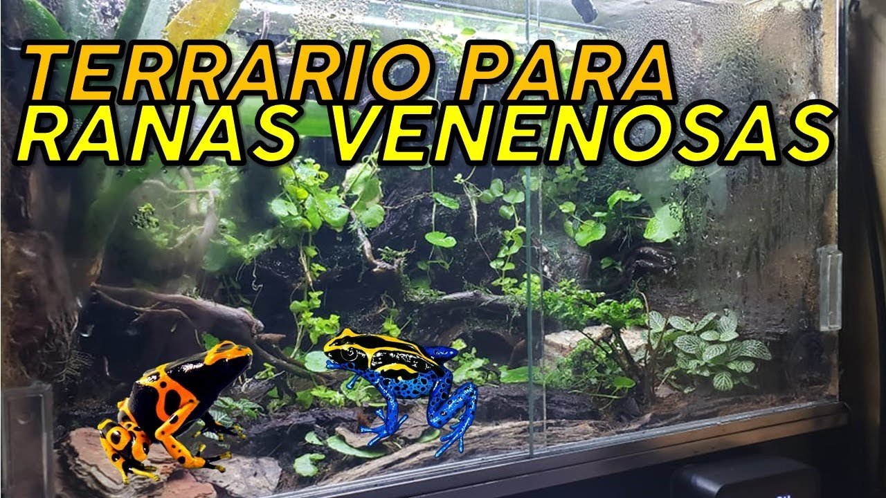 Cómo hacer un terrario con cascada integrada