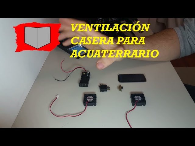 Cómo hacer un terrario con ventilación adecuada
