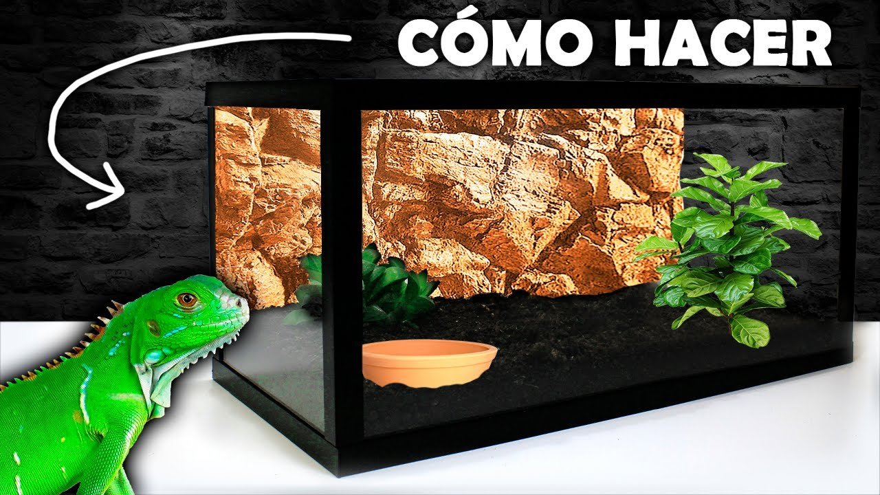 Cómo hacer un terrario económico para reptiles