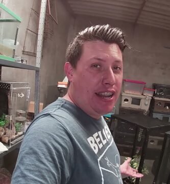 Cómo hacer un terrario mixto para reptiles