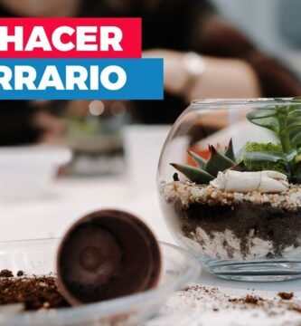 Cómo hacer un terrario portátil para viajes