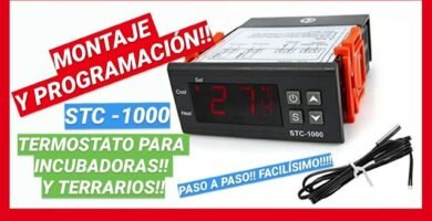 Cómo instalar un termostato en un terrario