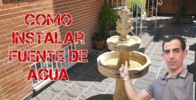 Cómo instalar una fuente de agua en un terrario