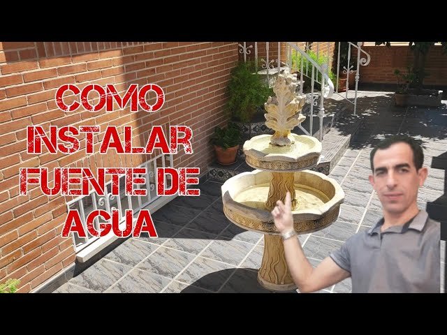 Cómo instalar una fuente de agua en un terrario