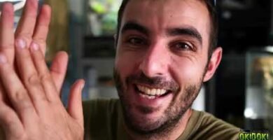 Cómo manejar la reproducción de reptiles en terrarios tropicales