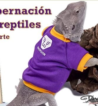 Cómo manejar la salud de reptiles durante la hibernación