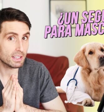 Cómo mantener un terrario seguro para niños y mascotas