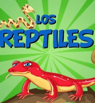 Cómo observar y registrar el comportamiento social de reptiles