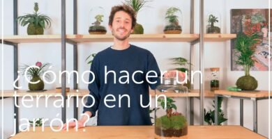 Cómo preparar un terrario para el invierno
