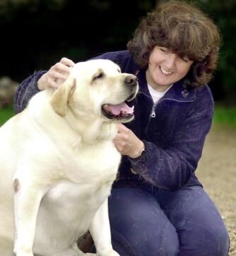 Cómo prevenir el sobrepeso en reptiles de terrario