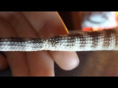 Cómo prevenir y tratar problemas de muda en reptiles