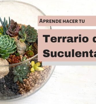 Consejos para la decoración de terrarios con plantas vivas