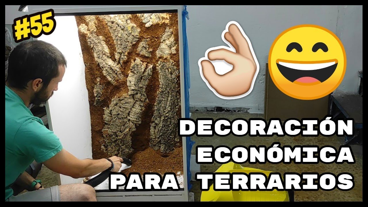 Consejos para la decoración de terrarios de reptiles