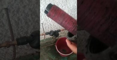 Consejos para la instalación de sistemas de filtración en terrarios acuáticos