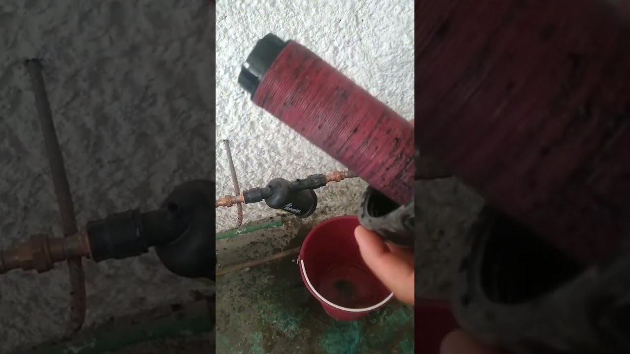 Consejos para la instalación de sistemas de filtración en terrarios acuáticos
