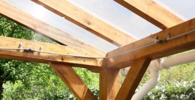 Consejos para la instalación de sistemas de nebulización en terrarios