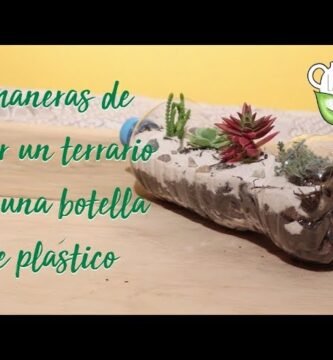 Construcción de terrarios con materiales reciclados