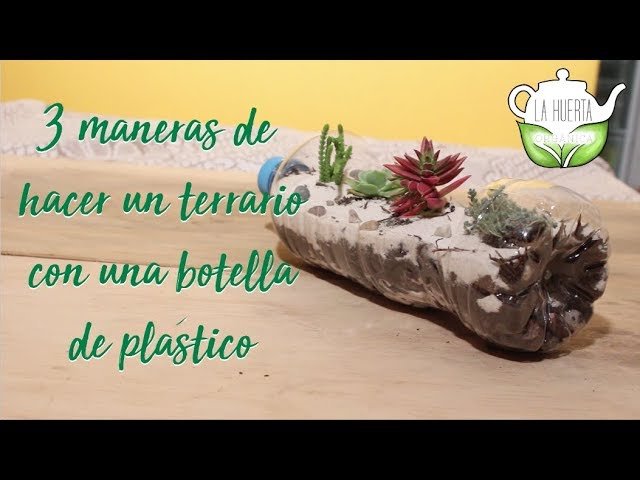 Construcción de terrarios con materiales reciclados