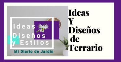 Diseño de terrarios para exhibiciones