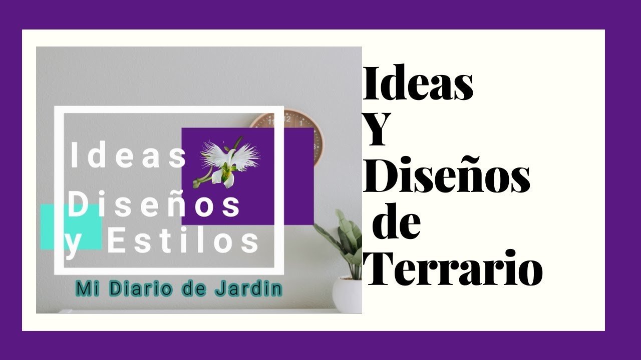 Diseño de terrarios para exhibiciones