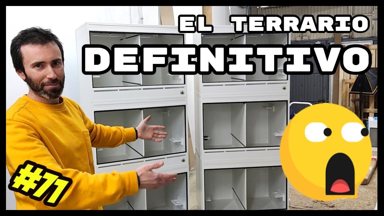 Diseños de terrarios para reptiles arbóreos