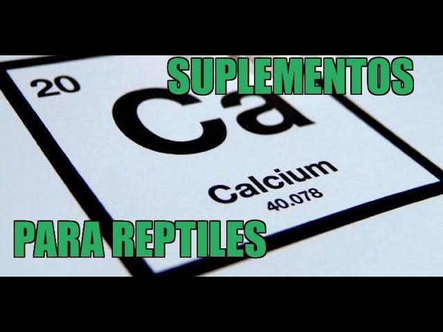 El uso de vitaminas y suplementos en la dieta de reptiles