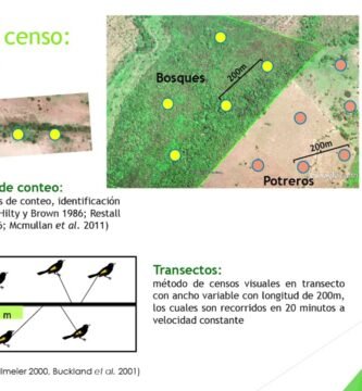 Estrategias para enriquecer el ambiente de reptiles comunitarios