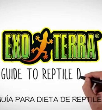 La dieta ideal para reptiles en terrarios bioactivos