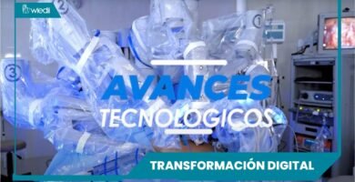 La importancia de la automatización en el mantenimiento de terrarios