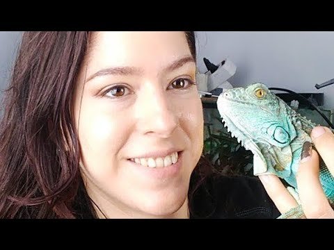 La importancia de la cuarentena para nuevos reptiles