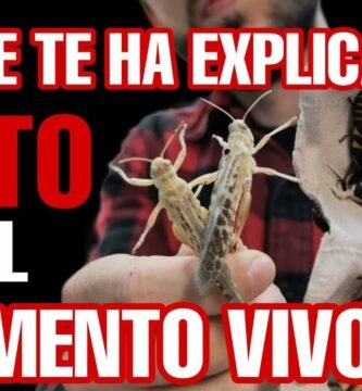 La importancia de la dieta en el comportamiento de reptiles