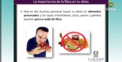 La importancia de la fibra en la dieta de reptiles herbívoros