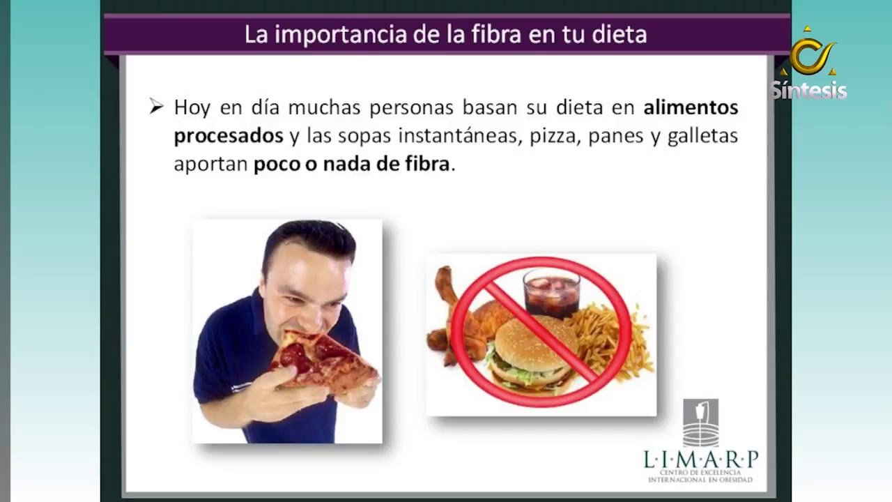 La importancia de la fibra en la dieta de reptiles herbívoros