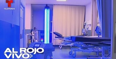 La importancia de la iluminación UVB para la salud de reptiles