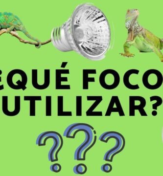 La importancia de la iluminación UVB para reptiles