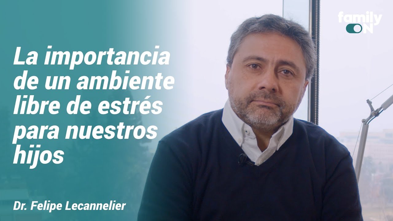 La importancia de un ambiente libre de estrés para reptiles