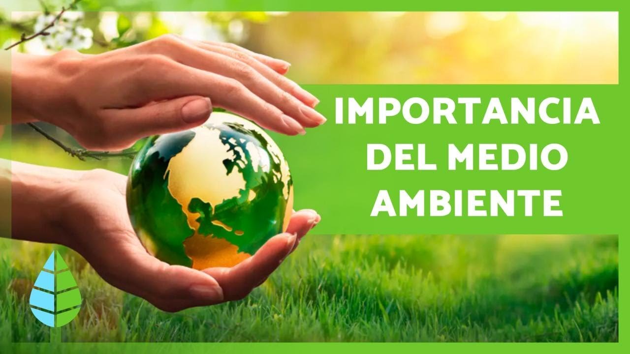 La importancia de un ambiente limpio para la salud de reptiles