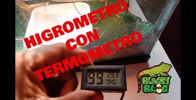 La importancia de un buen termómetro en terrarios