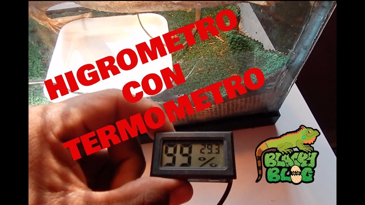 La importancia de un buen termómetro en terrarios