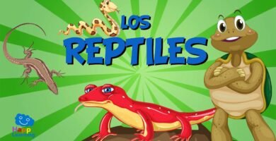 La importancia del agua en la dieta de reptiles
