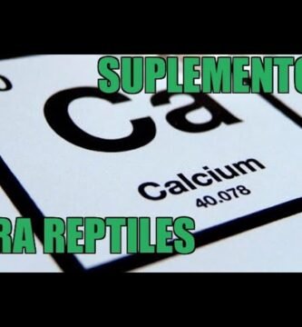 La importancia del calcio en la dieta de reptiles
